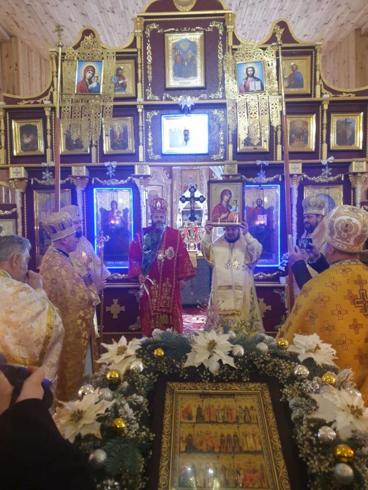 Архієпископ Житомирський і Поліський Володимир (Шлапак)